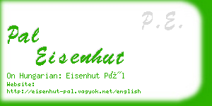 pal eisenhut business card